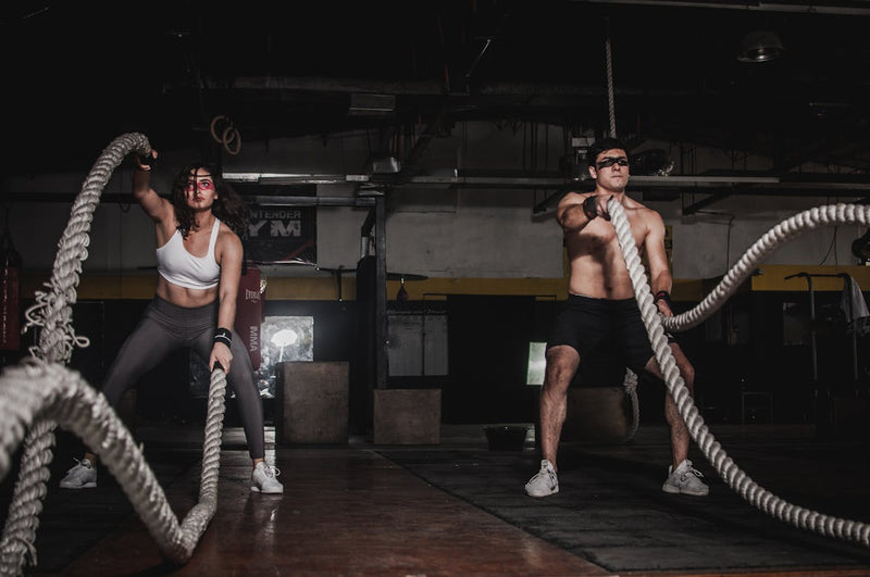 Fitness & Training Collection